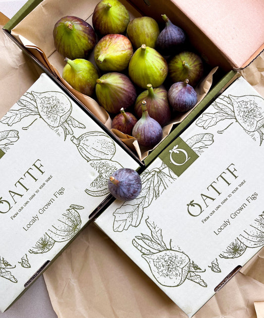Fresh Figs
